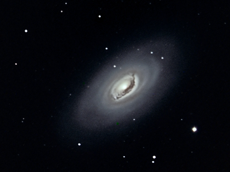 M64