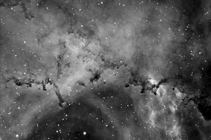 IC443